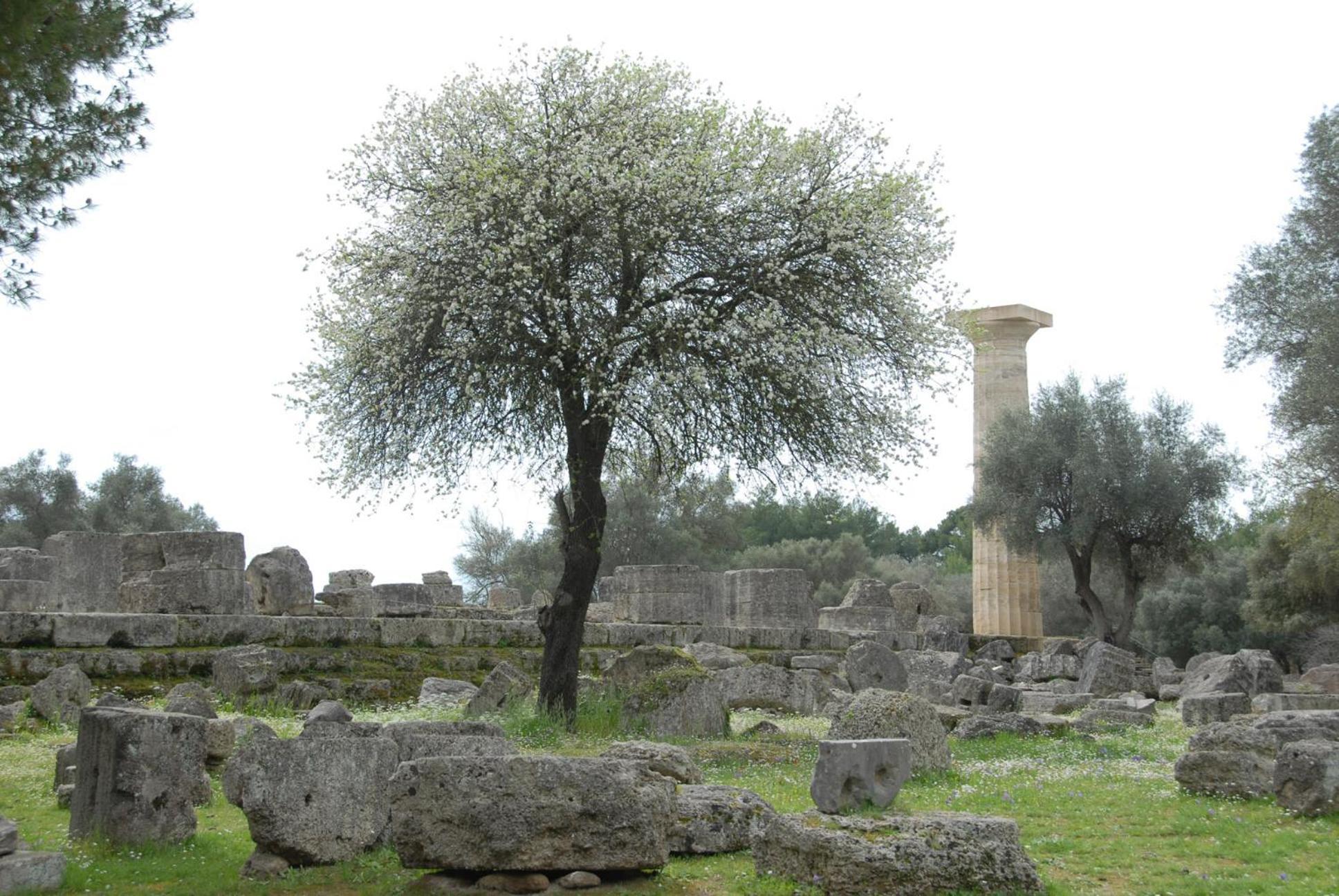 Fotis Rooms Σκαφιδιά Εξωτερικό φωτογραφία